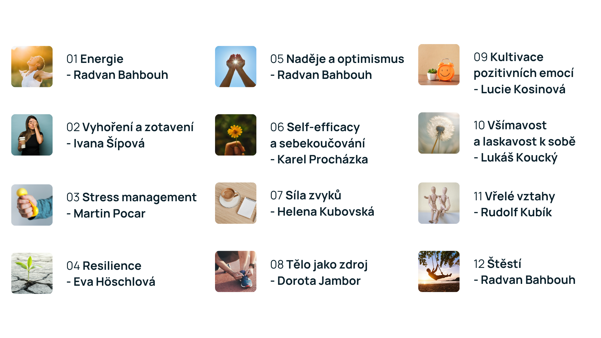 Akademie odolnosti a štěstí_témata.png